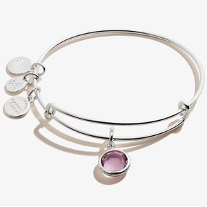 Alex and Ani Amethyst Bangle